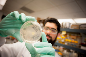 Man looking at sample