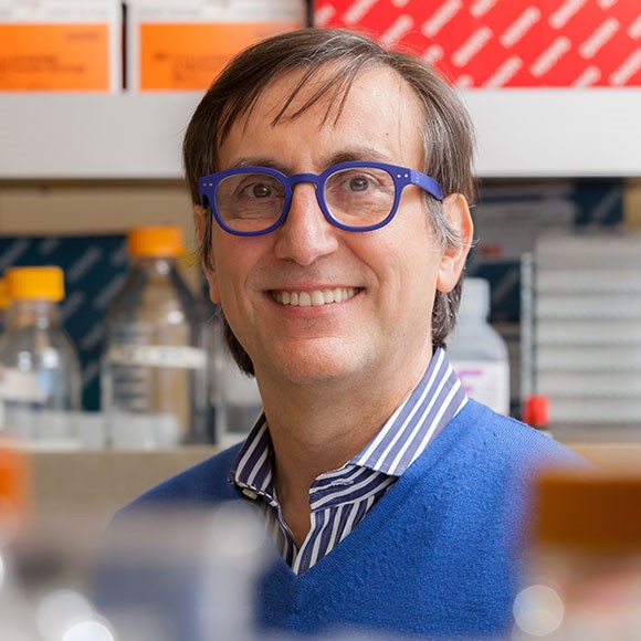 Alessandro Sette, Dr. BiolSci  